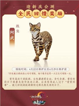 天龙八部私服海外天龙八部
